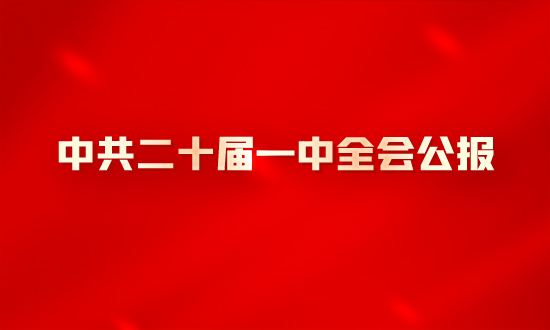 中共二十届一中全会公报